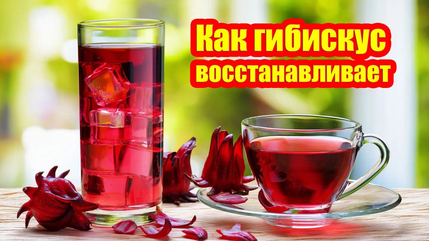 Разберем научные основы действия гибискуса на сосуды, печень и уровень сахара в крови: полный обзор