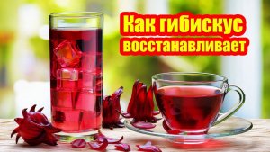 Разберем научные основы действия гибискуса на сосуды, печень и уровень сахара в крови: полный обзор