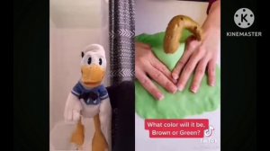 Donaldducc poop color