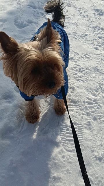 Обид не замечая.