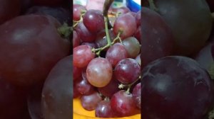 уминя есть вкусный виноград пасматри👍👍👍👍👍👍👍