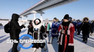 День оленевода: история, которая передается из поколения в поколение