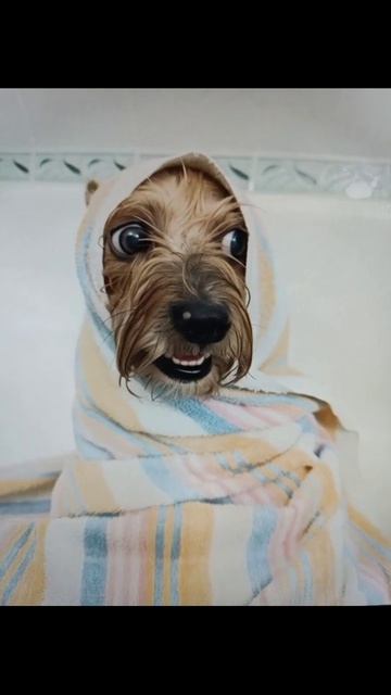 С лёгким паром