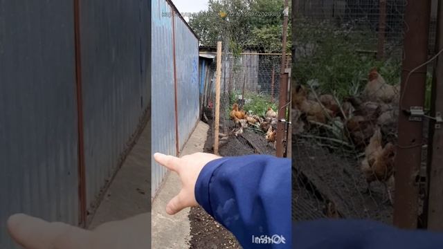 Дом и двор.Сборник интересных моментов на эту тему.Фильм12