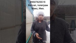 03.02.26.Косынки тёплые и ажурные,шарфы,платки ажурные.