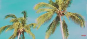 классная музыка№494