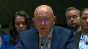 Василий Небензя: Российские школы пять раз за неделю стали объектом целенаправленных атак ВСУ.