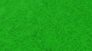 о аватар ворлд