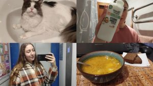 АРХИВ 2023 I типичный рабочий день | закончила картину | сюрприз от кота | vlog 01.04.2023