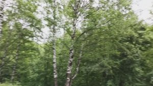 Как же хорошо летом!