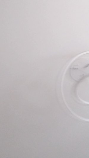 рома и саша