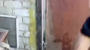 АЛЕУТЫ РАБОТНИКИ ГОДА / БЕЗДОМНЫЕ В СОЧИ #бомжи #бездомные #алеуты #катясочи #сочи #топ #выживание