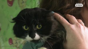 Ждут гостей