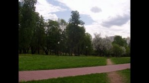 "Страсть" (Passione)Тальяферри под минус- поёт Санько Леонид