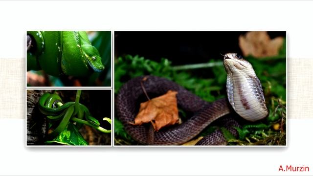 Stive Morgan - My Angel