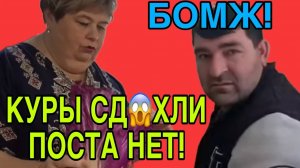 КУРЫ СД😱ХЛИ, ПОСТА НЕТ. ОЛЬГА УРАЛОЧКА LIVE. ОБЗОР.