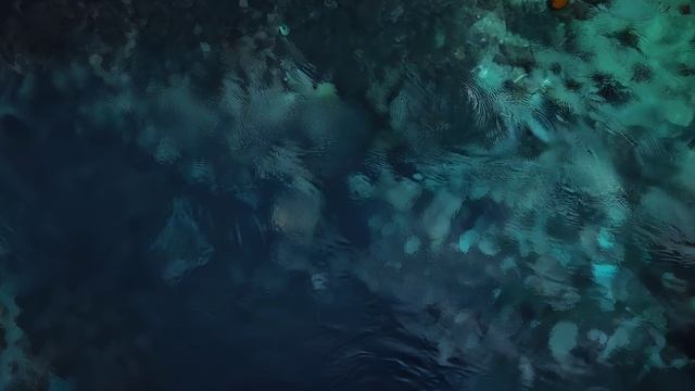 Firefly-Mare-in-leggero-movimento-ripreso-dallalto-movimento-del-mare-dallalto-verso-il-basso-c