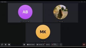 Встреча в Телемосте 03.02.26 16-02-48 — запись