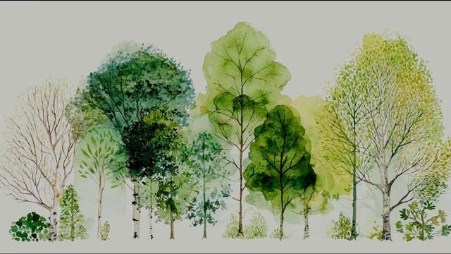 Анатолий Бабушкин Запах Весны 2