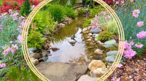 В ожидании нового дачного сезона. Сад панорамно и крупным планом.