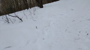 Река Пахра покрытая его льдом, но уже начинает таять - (3)