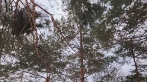 Куда деть "лишние" деньги?