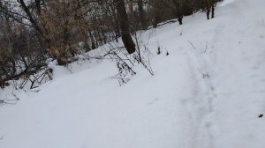 Иду к реке Пахра, по снежным тропам - (1)