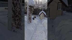 Дача 23.02.2026 г.mp4