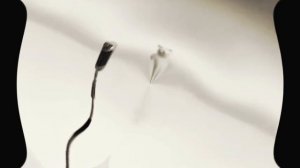 Jackyto bear gray  write in the comments which video to shoot next. If you don't want to, dIn short,