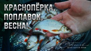Краснопёрка, поплавок, весна – душевная рыбалка!