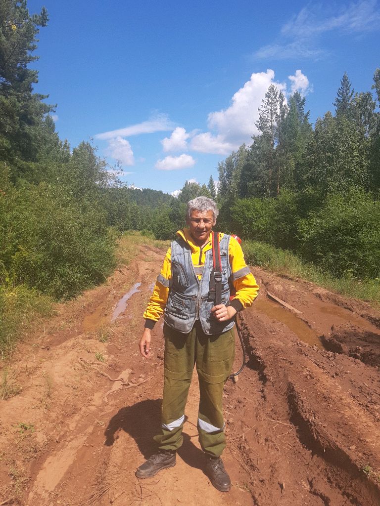 мандрик оса