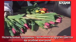 6, 7 и 8 марта в Белогорске пройдут рейды