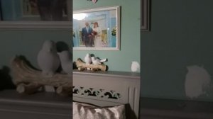 СОЗДАЮ УЮТ ИЗ МЕЛОЧЕЙ В НАШЕМ ДОМИКЕ.