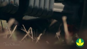 Росагролизинг HD Шлемин Дмитрий Tom Alimar +79261271277