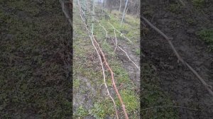 работа всегда найдется