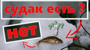 Судак в марте