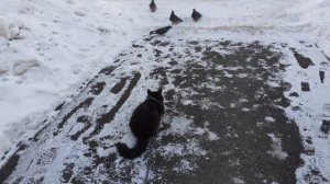 На улице теплее стало. С праздником 8 марта, и всего самого наилучшего дорогим женщинам.