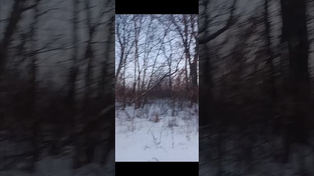 Последнее видео зимы 2026😉