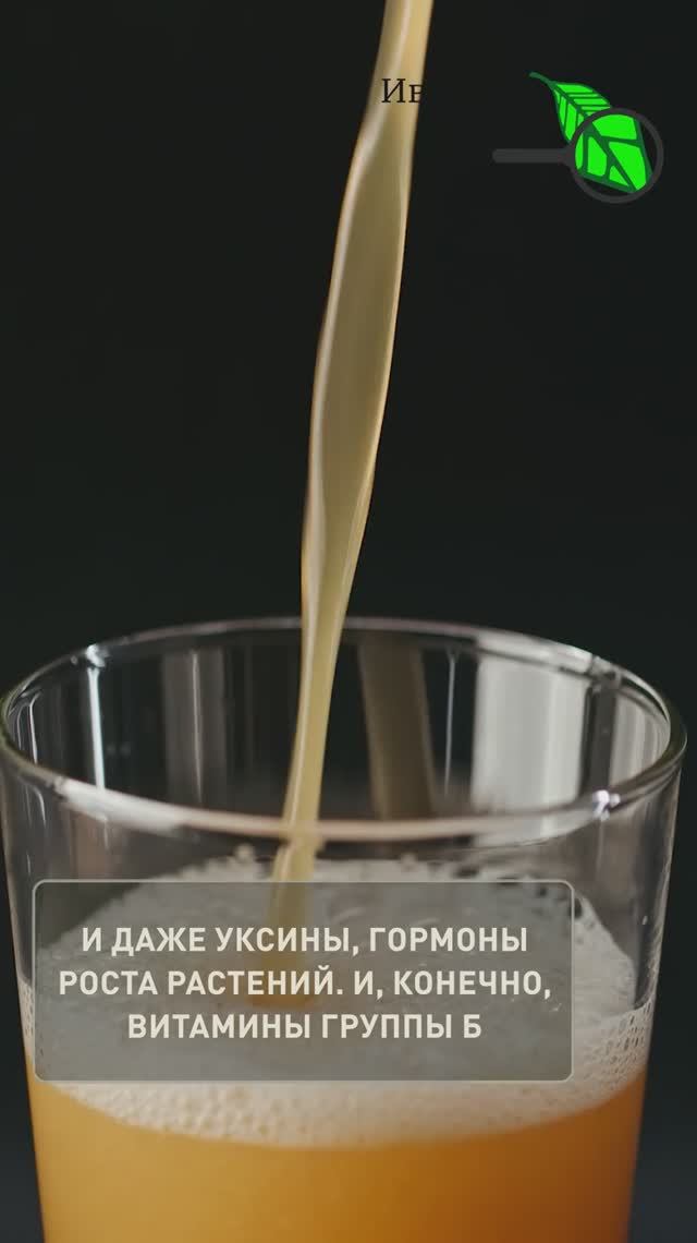 Любые семена быстро взойдут, если их замочить в этом домашнем растворе. В нём есть ВСЁ!