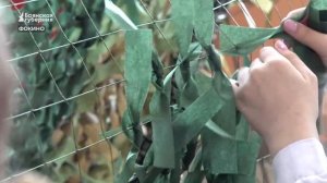 В школе №1 Фокино открылся музей как символ преемственности и патриотизма