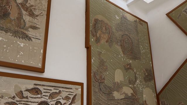 Тунис. Национальный музей Бардо!