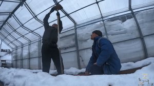 Ремонтируем теплицу.