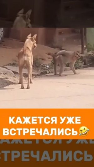 Когда муж ненасытный 🤣🤣