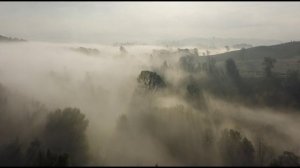 Black Death - Туман, туман