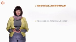 Лекция. Невербальная коммуникация