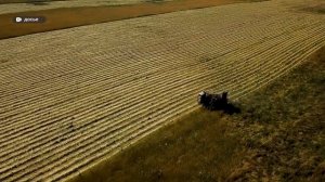 Рекордный урожай и падающие цены: аграрии Алтая обсудили риски на конференции