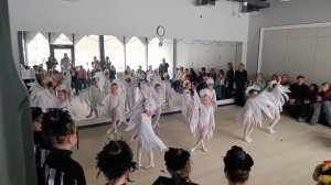«Аисты»
