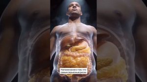 Висцеральный жир самый опасный жир в организме человека .mp4