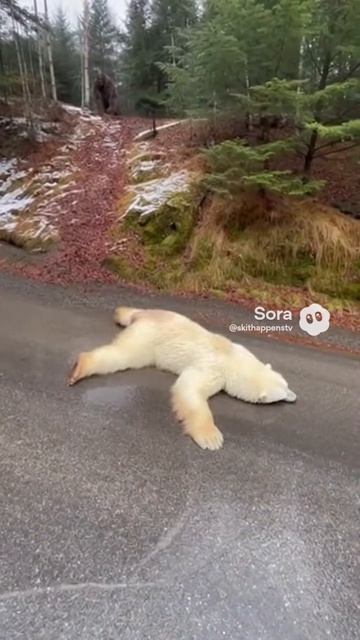 Снежный человек-2