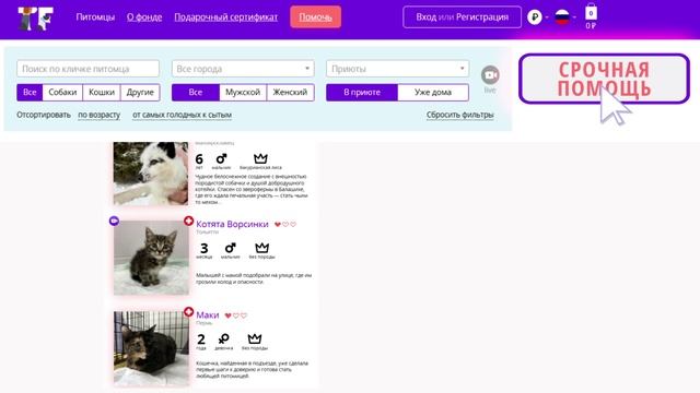 Ролик для приюта Тэди Фуд